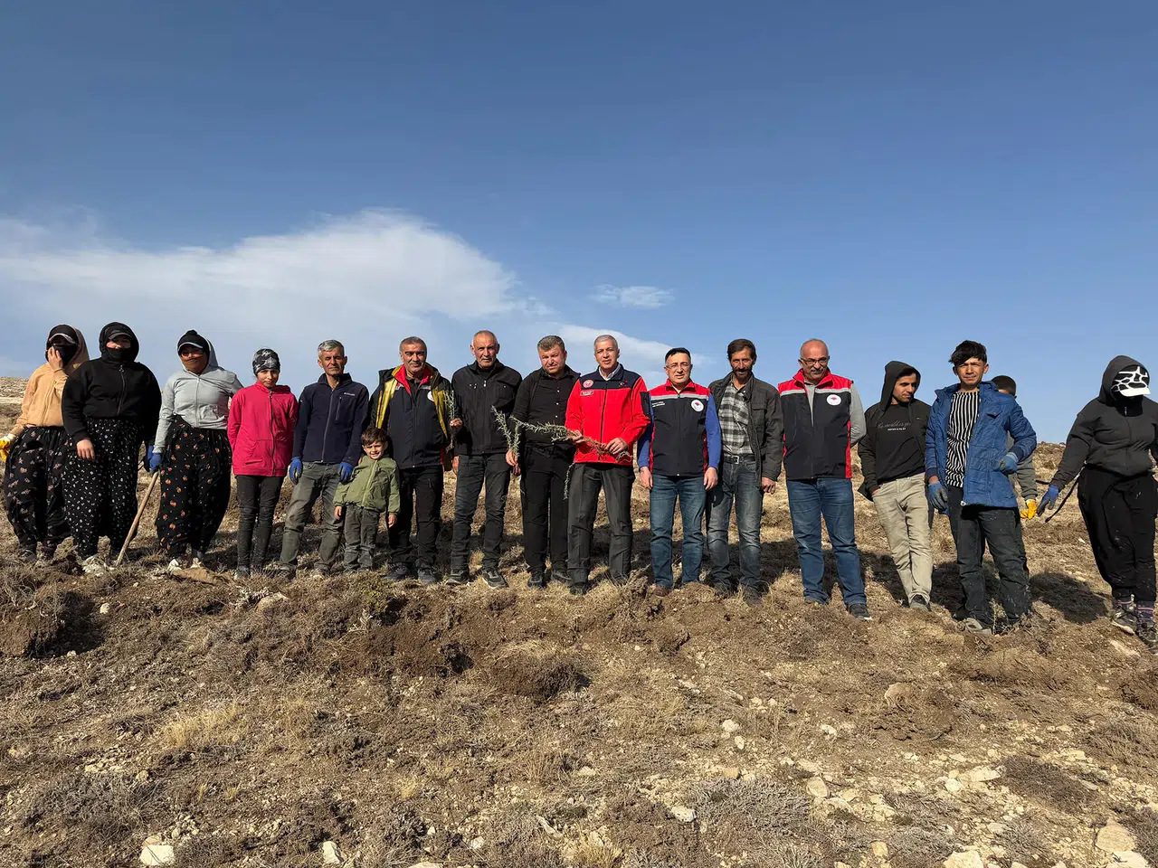 Sivas'ta Tuz Çalısı İle Meralar Yeşeriyor, Hayvancılık Güçleniyor