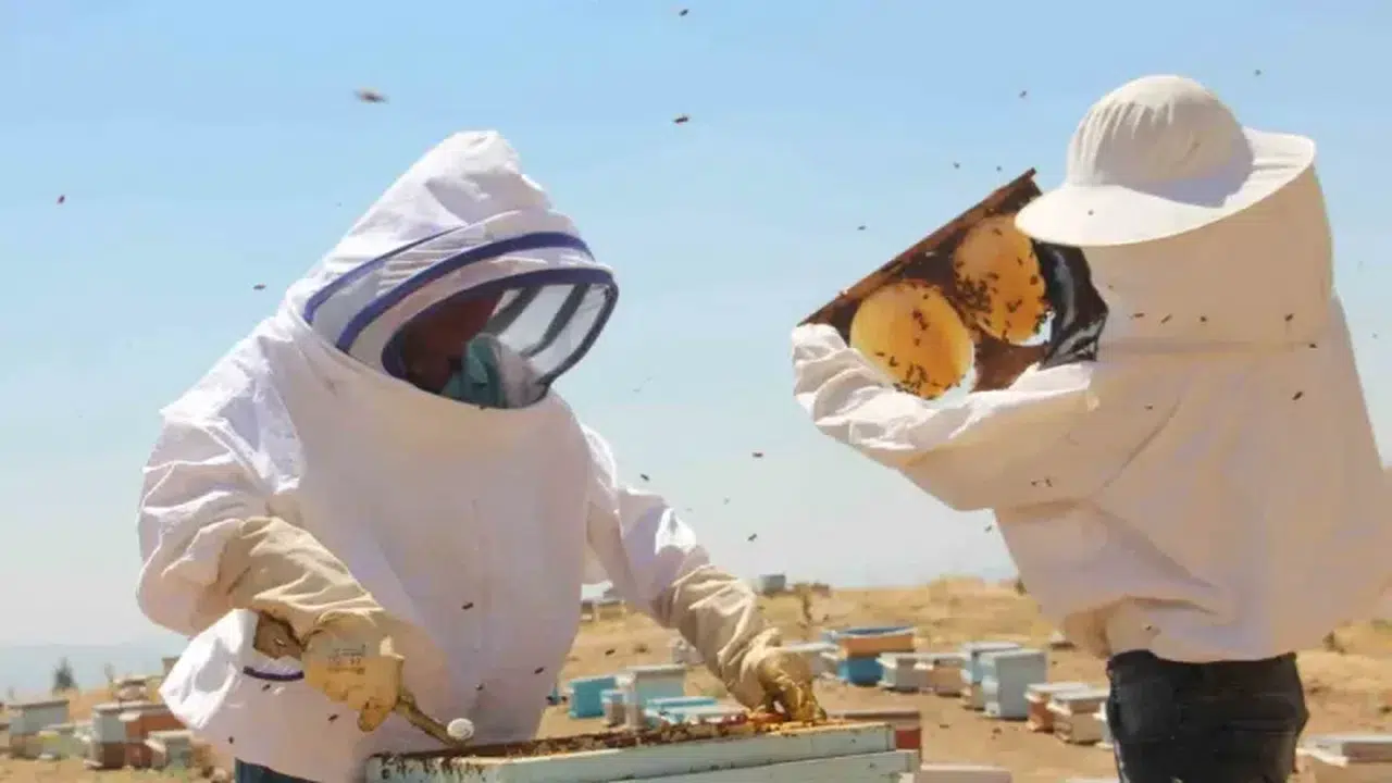 Tercan Balı'na Coğrafi İşaret Tescili! Bölge Ekonomisine Katkı