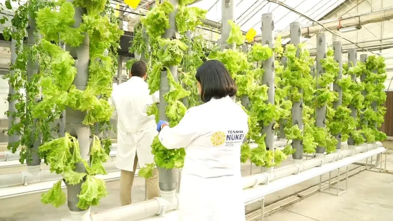 Afetlere Hazırlık: Uzun Raf Ömürlü Ekmek Reçetesi Üzerinde Çalışmalar Sürüyor