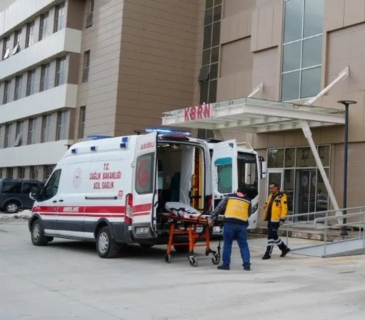 Erzincan Üzümlü'de Korku Dolu Anlar: Ayı Saldırısı!