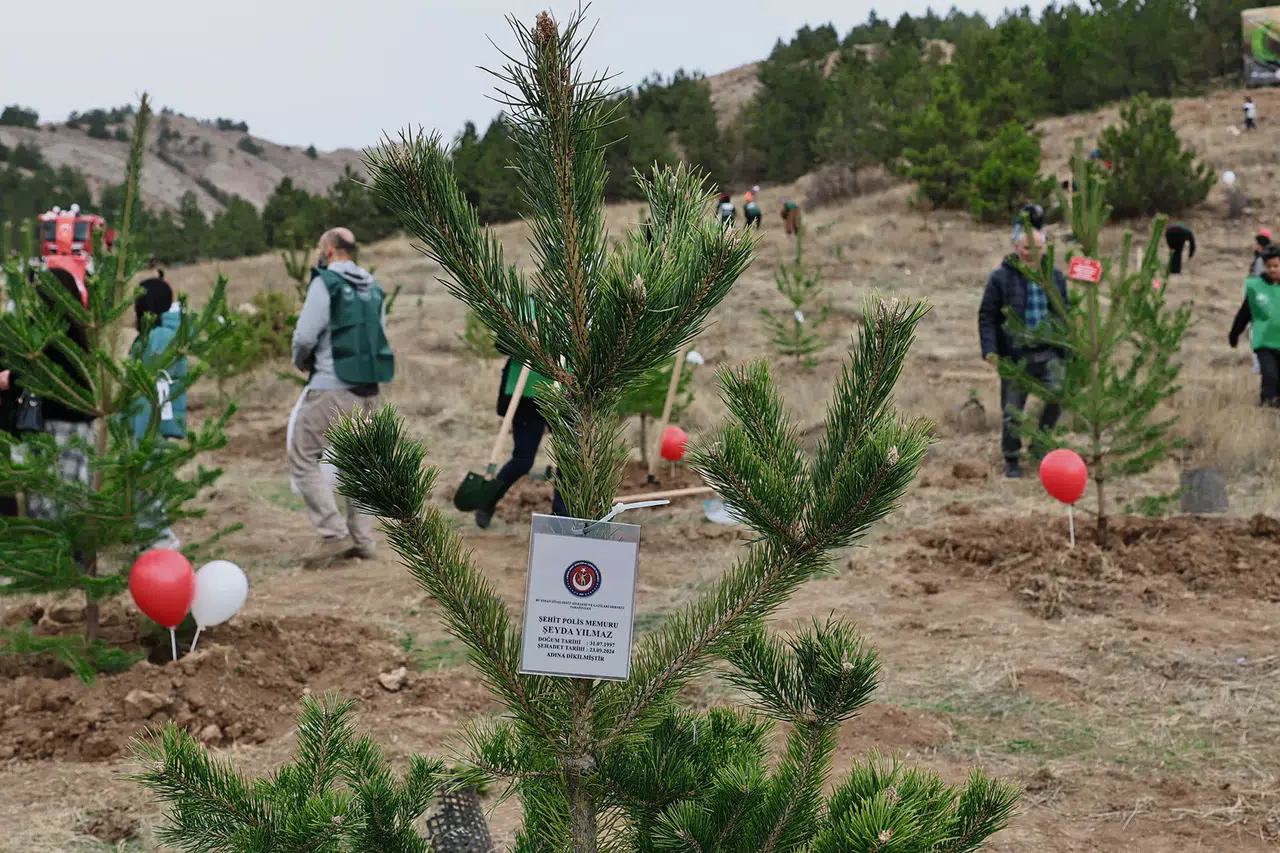 21 Lokasyonda 90.000 Fidan: Sivas Geleceğe Nefes Oluyor