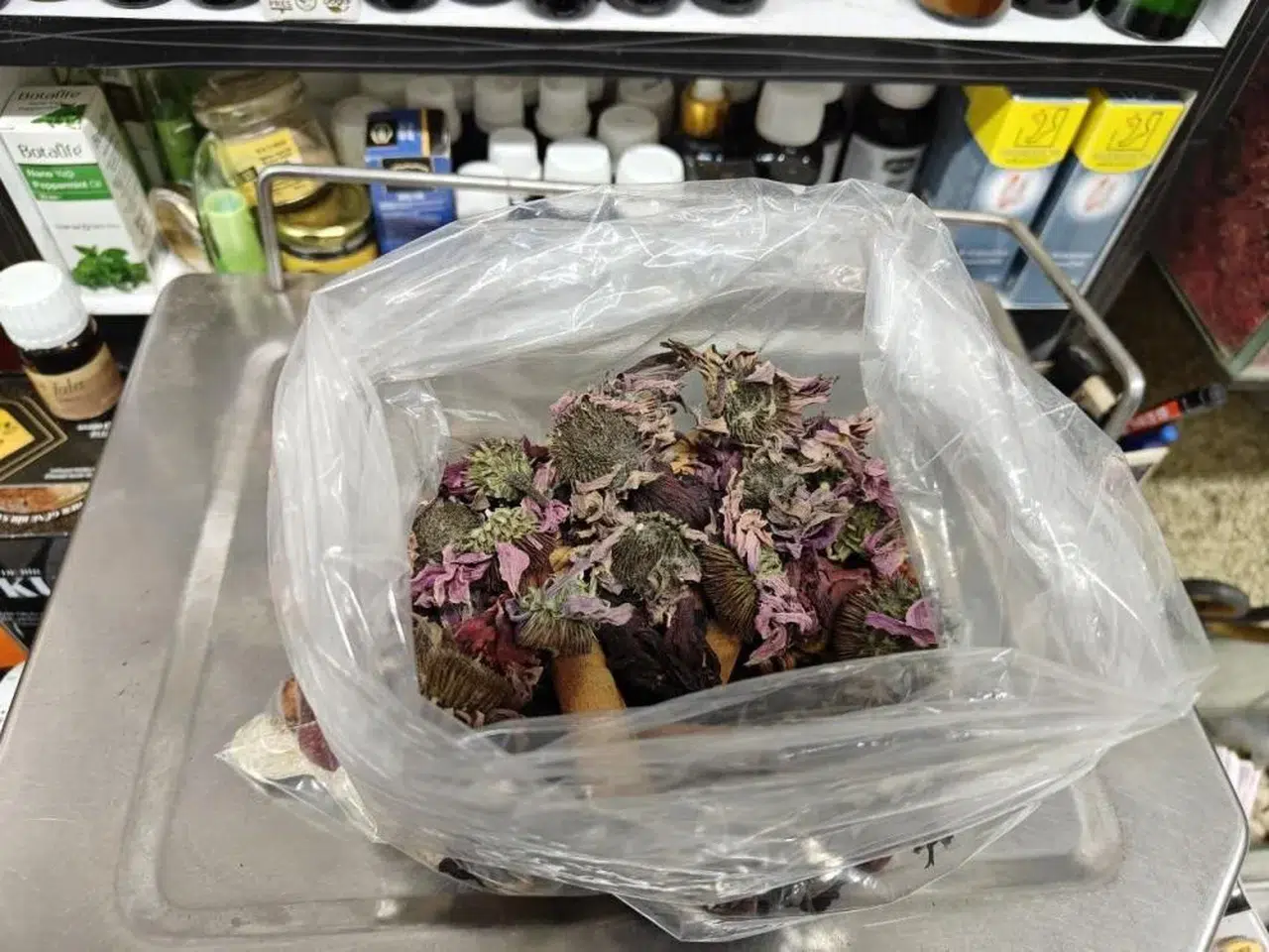 Aktardan Öksürüğe Bitkisel Çözüm