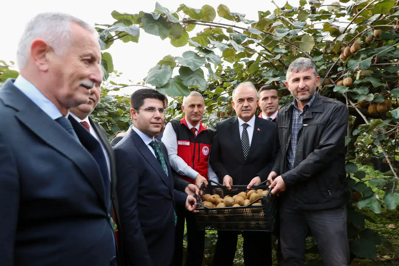 Ordu Kivisi Hasadı Başladı: İl Ekonomisine 520 Milyon TL Katkı