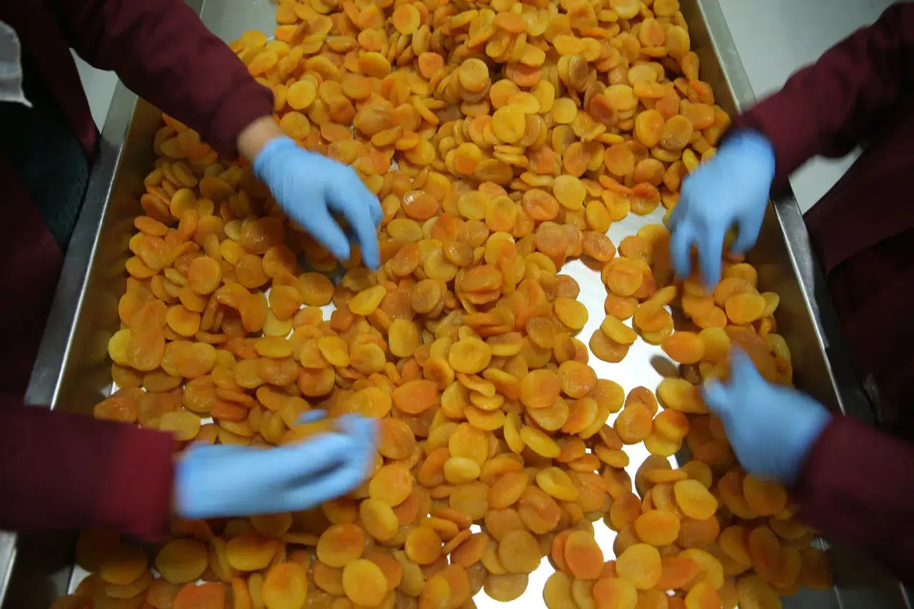 Zirai Don Fiyatları Nasıl Etkiledi? Hedef 300 Milyon Dolar Gelir