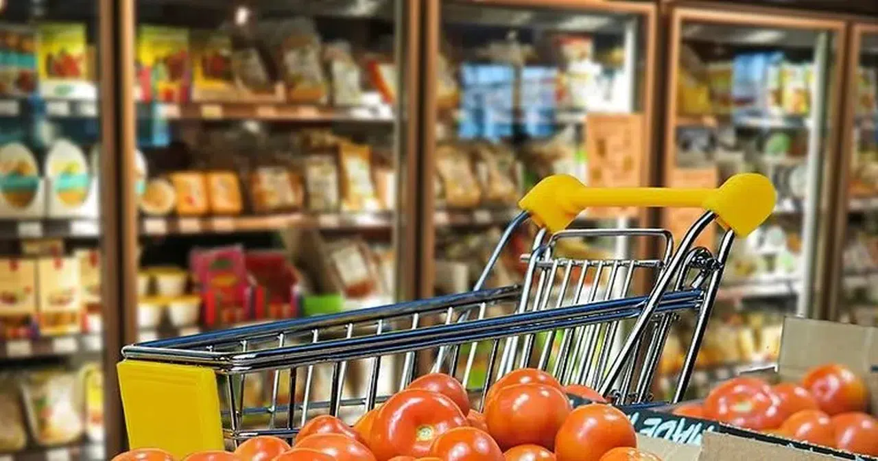 Tüketici Güveni Yükseldi: Hane Ekonomisi Ne Diyor?