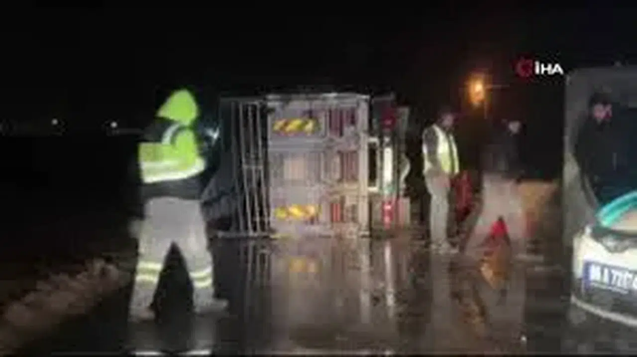 Feci Kaza: Hayvanlar Telef Oldu, Sürücü Yaralandı