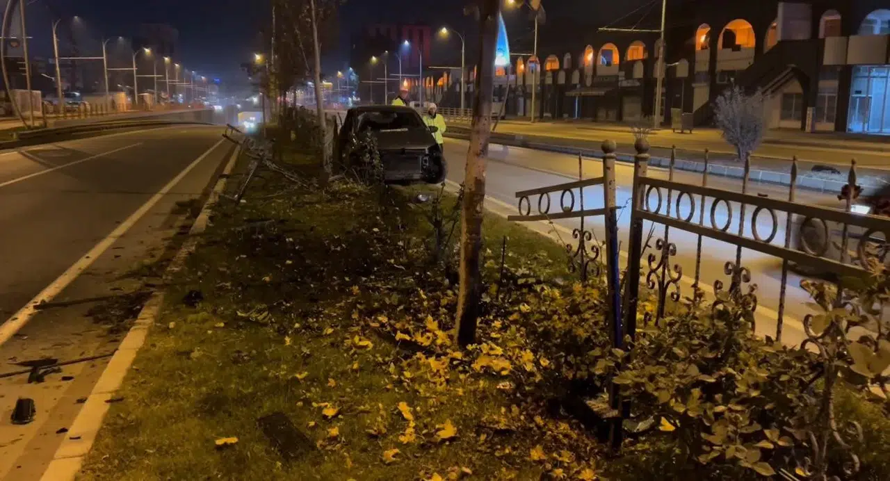 Köpeğe Çarpmamak İçin Manevra Paptı: Canından Oluyordu!