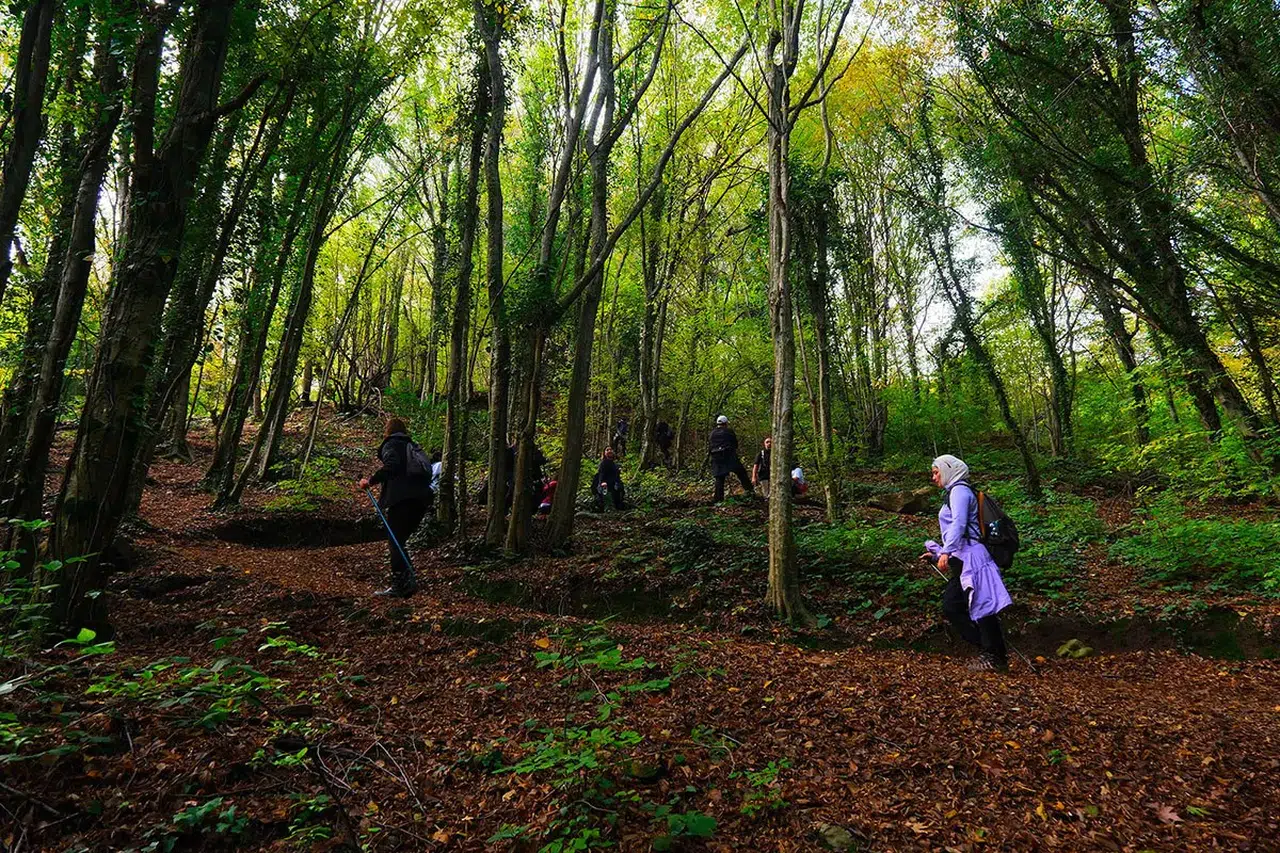 Taraklı'dan Longoza: Sakarya Doğa Yürüyüşleri Rekor Kırdı!