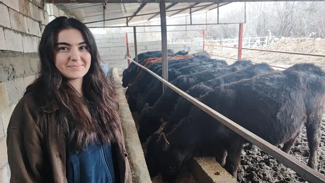 Devlet Desteği Hayatını Değiştirdi: Genç Sağlıkçı Düve Yetiştiriyor