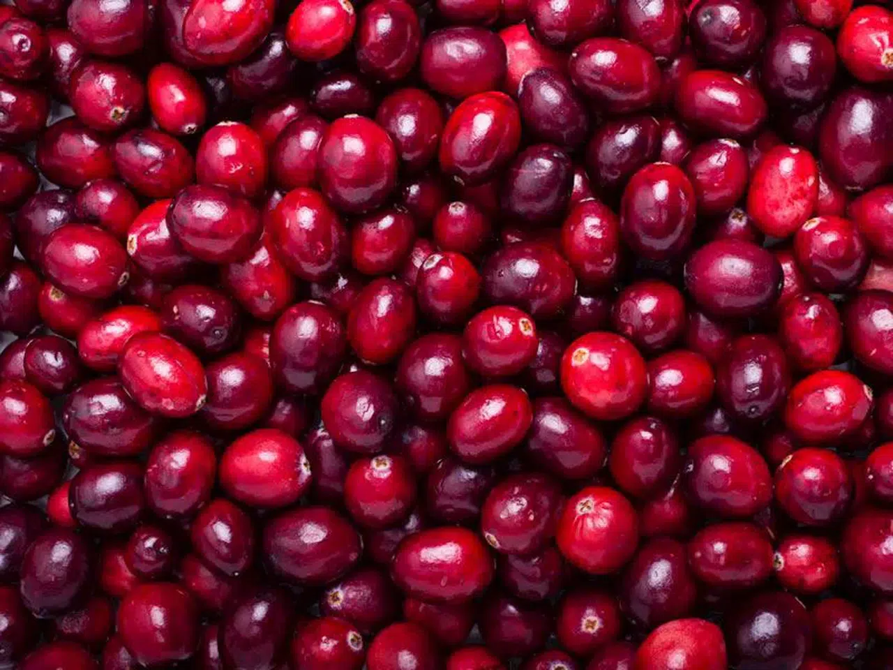 Kızılcık ile Gribe Doğal Kalkan: Diyetisyen Açıkladı!