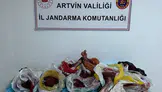 Artvin’de kaçak avcılara geçit yok: 60 kilo yaban domuzu eti ele geçirildi