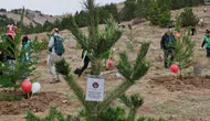 21 Lokasyonda 90.000 Fidan: Sivas Geleceğe Nefes Oluyor