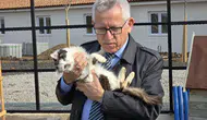 Makam Odası Kedi Yuvası Olan Başkan: Sokak Hayvanları Emanettir