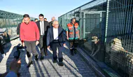 Kayseri Büyükşehir, Sahipsiz Hayvanlara Şefkat Eli Uzattı