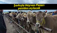 ŞARKIŞLA HAYVAN PAZARI YENİDEN HİZMETE AÇILIYOR