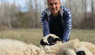 Kesecekti Kıyamadı: Koyunlara Antrenörlük Yapıyor!