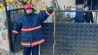 Sivas’ta evde yılan paniği