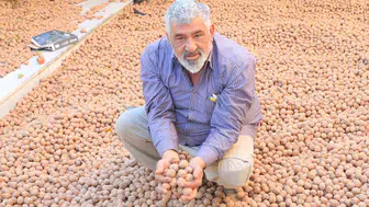Fransa'daki İşinden Daha Çok Kazanıyor: 10 Ton Hasat!