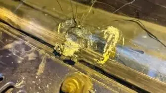 Sanayi sitesinde kurşun dehşeti! Şans eseri kurtuldular