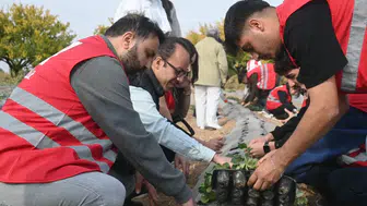 Malatya'da Kızılay Desteğiyle Modern Çilek Bahçeleri Kuruluyor