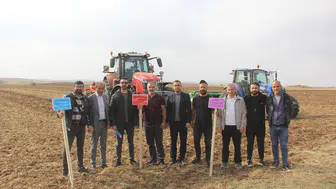 Sivas'ta Pilot Proje: İlk Kez Ekilen 5 Yeni Ekmeklik Buğday Çeşidi