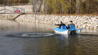 Sivas OSB'de 10 Bin Sazan Balığı ve Meyve Bahçesi Projesi