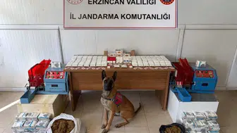 Trafik Cezası Rekoru: 1,48 Milyon TL Para Cezası Kesildi