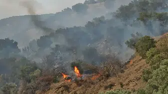 Aydın'da korkutan yangın alarmı: Alevler kontrolden çıktı!