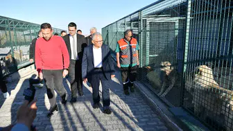 Kayseri Büyükşehir, Sahipsiz Hayvanlara Şefkat Eli Uzattı