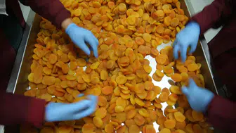 Zirai Don Fiyatları Nasıl Etkiledi? Hedef 300 Milyon Dolar Gelir