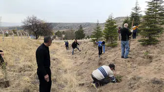 Çepni’de 11 Kasım Milli Ağaçlandırma Günü’nde Fidanlar Toprakla Buluştu
