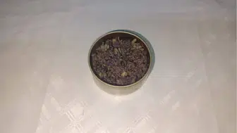 Endemik Bitkiyi Gürcistan'a Kaçırırken Yakalandı: 557 Bin TL Ceza!