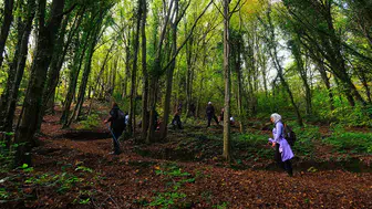 Taraklı'dan Longoza: Sakarya Doğa Yürüyüşleri Rekor Kırdı!