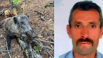 av bir anda kabusa döndü! Domuz saldırısı can aldı