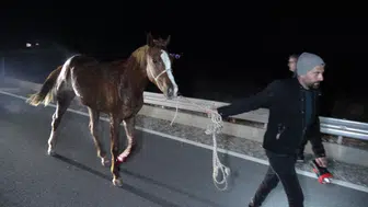 Milyonluk Taylar Telef Oldu: 3 Araç Hurdaya Döndü!