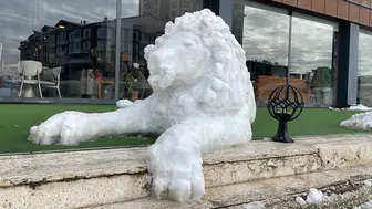 Kardan Adam Değil, Kardan Aslan Yaptı