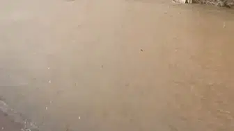 Bozcaada’da sağanak yağış felaketi! Sokaklar göle döndü, hayat durma noktasına geldi