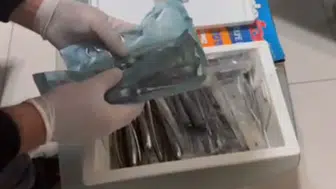 Sahte Dişçiye Baskın: 5 Bin 980 Tıbbi Ürün Ele Geçirildi!