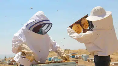 Tercan Balı'na Coğrafi İşaret Tescili! Bölge Ekonomisine Katkı