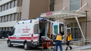 Erzincan Üzümlü'de Korku Dolu Anlar: Ayı Saldırısı!
