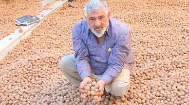 Fransa'daki İşinden Daha Çok Kazanıyor: 10 Ton Hasat!