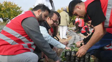 Malatya'da Kızılay Desteğiyle Modern Çilek Bahçeleri Kuruluyor