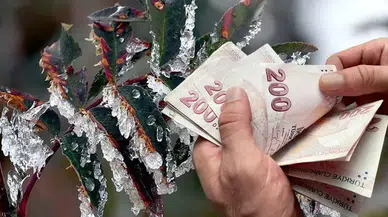 Çiftçilere Destek Yağmuru: 22,9 Milyar Lirayı Aştı