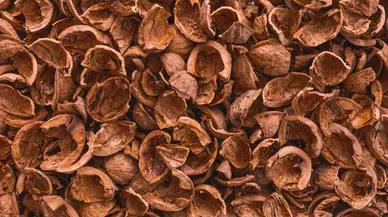 Ceviz Kabuğu Atığıyla Asfalt Ömrünü %50 Artıran Çözüm