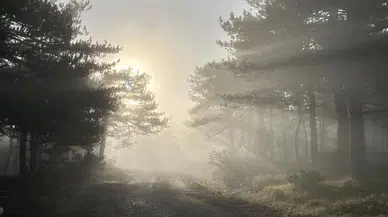 Sabahın Sisi Görsel Şölen Sunuyor