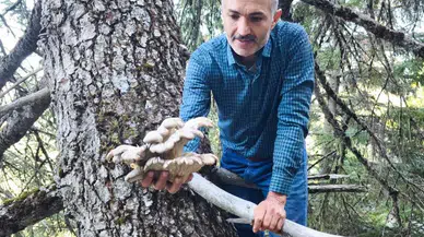 Mantar İçin Zorlu Tırmanış