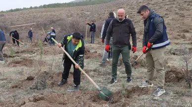 Muhsin Yazıcıoğlu Vefa Ormanı'na 58.000 Fidan Dikildi