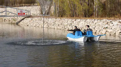 Sivas OSB'de 10 Bin Sazan Balığı ve Meyve Bahçesi Projesi