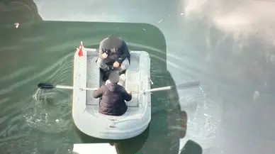 Tokat'ta Barajda Kaçak Av: 2 Kişiye 64 Bin TL Ceza Kesildi