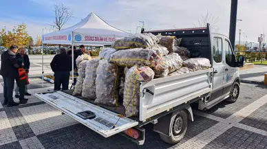 Organomineral Gübreyle Yetişen Patatesler Satışa Sunuldu